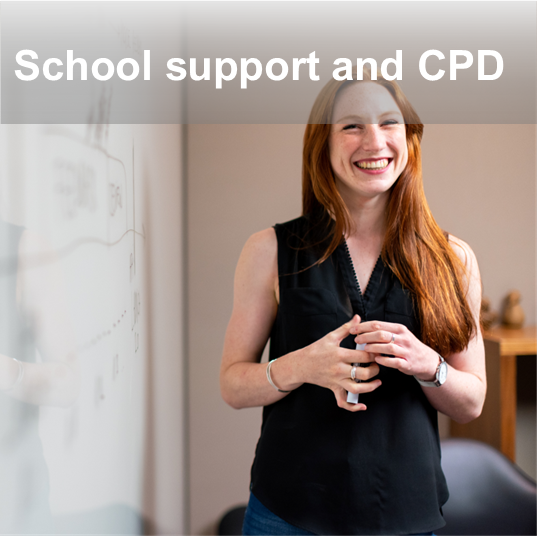 School support and CPD tile