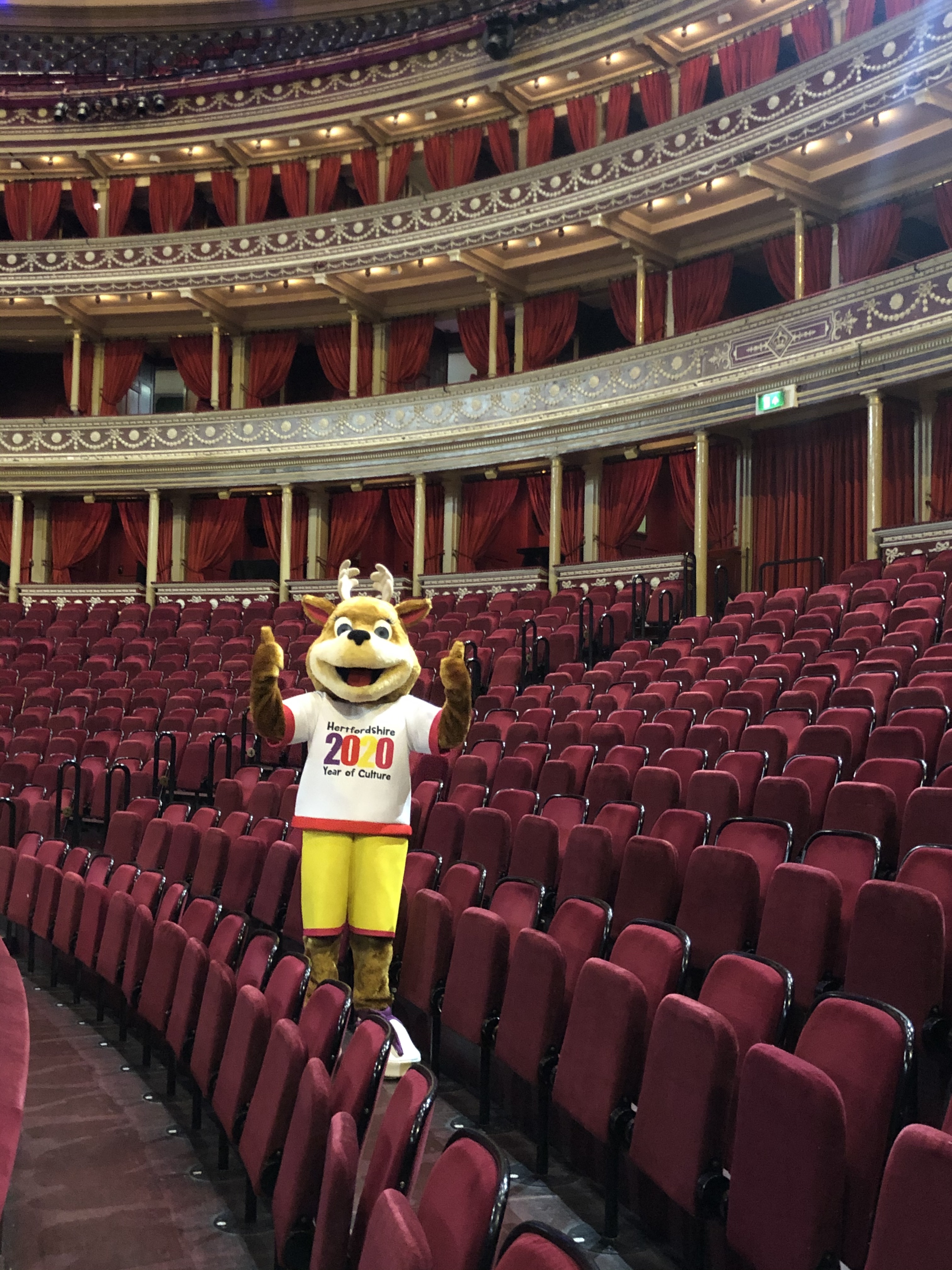rah IMG_0983