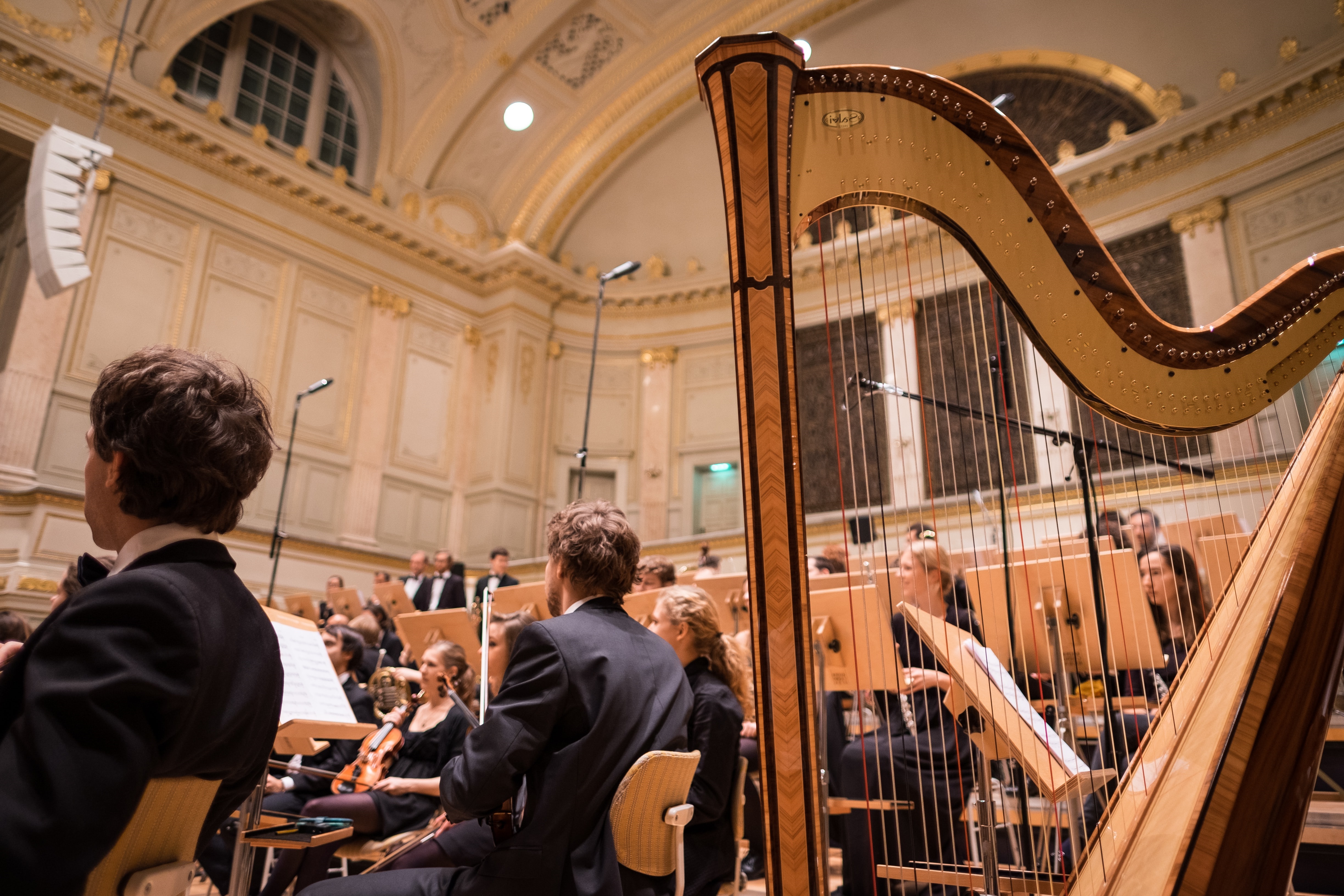 Young orchestra facing left